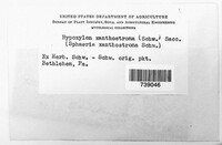 Image Associated With the Occurence